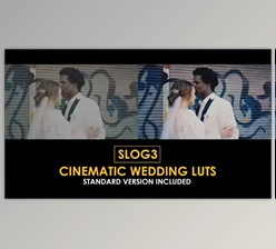 Download Slog3 Cinematic Wedding and Standard Color LUTs (Videohive 51047618)