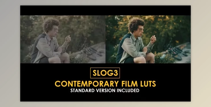 Download Slog3 Contemporary Film and Standard Color LUTs (videohive 51048036)