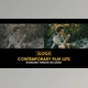 Download Slog3 Contemporary Film and Standard Color LUTs (Videohive 51048036)