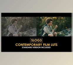 Download Slog3 Contemporary Film and Standard Color LUTs (Videohive 51048036)