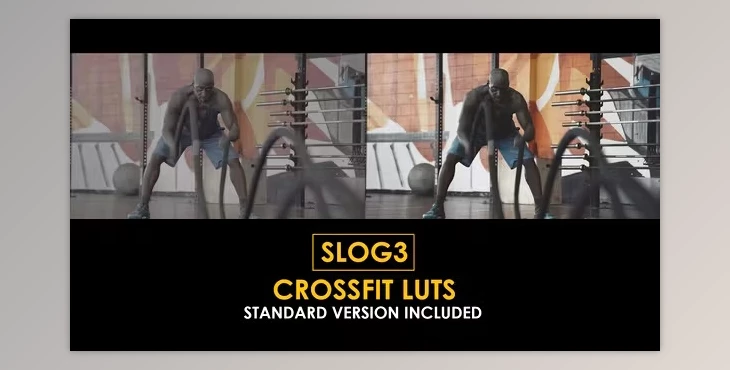 Download Slog3 Crossfit and Standard Color LUTs (videohive 51048050)