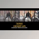 Download Slog3 Crossfit and Standard Color LUTs (Videohive 51048050)