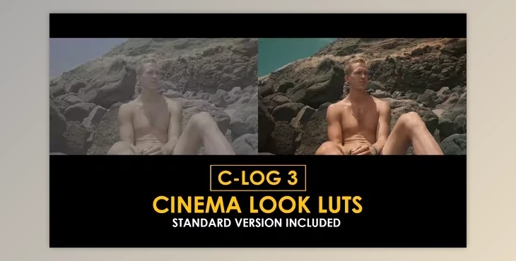 Download C-Log3 Cinema Look and Standard Color LUTs (videohive 50930792)