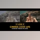 Download C-Log3 Cinema Look and Standard Color LUTs (Videohive 50930792)