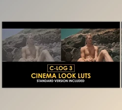 Download C-Log3 Cinema Look and Standard Color LUTs (Videohive 50930792)