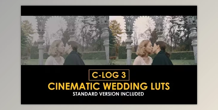 Download C-Log3 Cinematic Wedding and Standard Color LUTs (videohive 50930806)