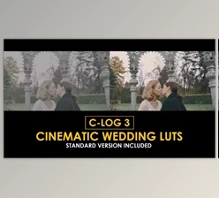 Download C-Log3 Cinematic Wedding and Standard Color LUTs (videohive 50930806)