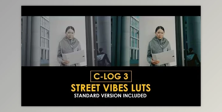 Download C-Log3 Street Vibes and Standard Color LUTs (videohive 50930890)