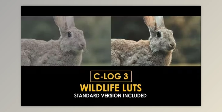 Download C-Log3 Wildlife and Standard Color LUTs (Videohive 50930916)