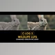 Download C-Log3 Wildlife and Standard Color LUTs (Videohive 50930916)