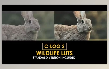 Download C-Log3 Wildlife and Standard <span class='badge badge-warning'>Color</span> LUTs (Videohive 50930916)