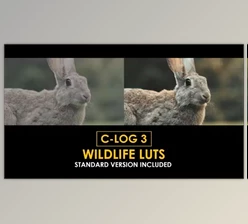 Download C-Log3 Wildlife and Standard Color LUTs (Videohive 50930916)