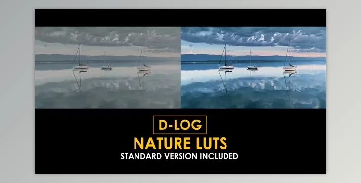 Download D-Log Cinema Drone Film Color LUTs (Videohive 50930932)