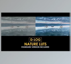 Download D-Log Cinema Drone Film Color LUTs (Videohive 50930932)