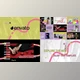 Download Colorful Stylish Slides for FCPX (Videohive 50940309)