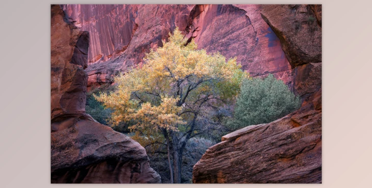 Download Eric Bennett – Tools of the Trade – Vol. 4 – Post-Processing Techniques