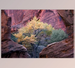 Download Eric Bennett – Tools of the Trade – Vol. 4 – Post-Processing Techniques