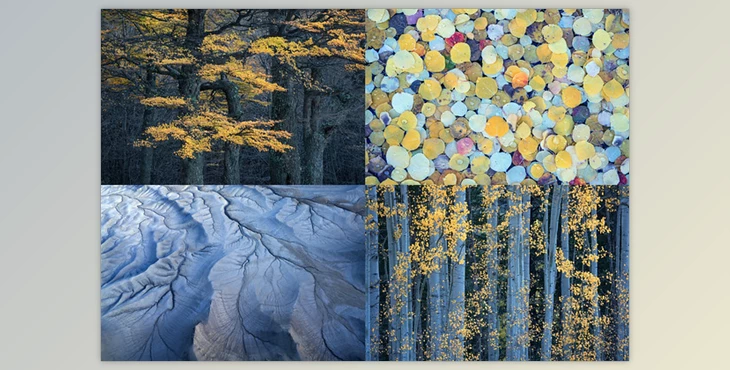 Download Eric Bennett – “Luminance” – Enhancing Soft Light