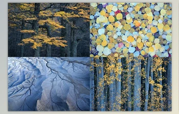 Download <span class='badge badge-warning'>Eric</span> Bennett – “Luminance” – Enhancing Soft Light