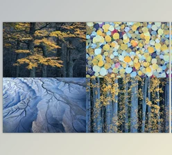 Download Eric Bennett – “Luminance” – Enhancing Soft Light