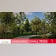 Download Unreal Engine - Landscaping Small Trees 1
