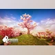 Download Unity Asset - Broccoli Tree Creator v1.9.11
