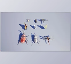 Download Unreal Engine - Japanese Insect Pack