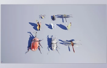 Download Unreal Engine - Japanese Insect <span class='badge badge-warning'>Pack</span>