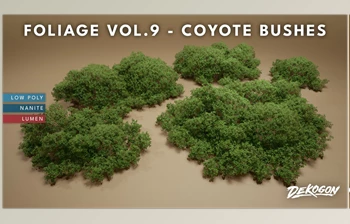 Download Unreal Engine - Foliage VOL.9 - <span class='badge badge-warning'>Coyote</span> Bushes (Nanite and Low Poly)