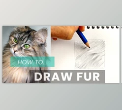 Download How To Draw Fur: Pencil Shading Techniques For Drawing Animals