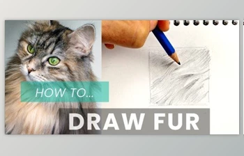 Download How To Draw Fur: <span class='badge badge-warning'>Pencil</span> Shading Techniques For <span class='badge badge-warning'>Drawing</span> Animals