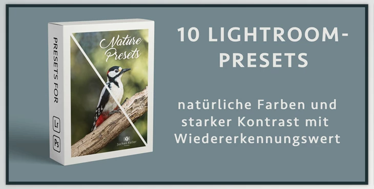 Download Kellerfoto – Nature Presets