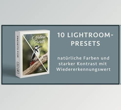 Download Kellerfoto – Nature Presets