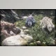 Download Unity Asset - Monster Creature 2 – Fantasy RPG v4.2