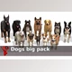 Download Unity Asset - Dogs big pack v1.0