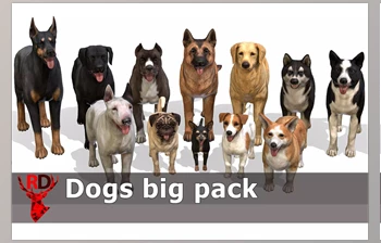 Download Unity Asset - Dogs big <span class='badge badge-warning'>pack</span> v1.0