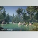 Download Unity Asset - Nature Package v1.3