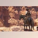 Download Unity asset - Horse Animset Pro Riding System v4.4.3a