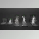 Download Unreal engine - Water Splash Pack 3 v4.27