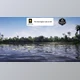 Download Unreal engine - Subtropical Waterbody Habitat Brush v5.3