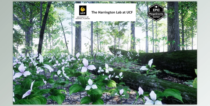 Download Unreal engine - 35 AR VR Northeastern US Plants and Ecosystems v5.3