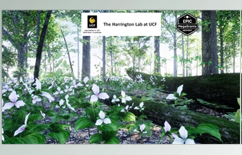 Download Unreal engine - 35 AR VR Northeastern US <span class='badge badge-warning'>Plants</span> and Ecosystems v5.3