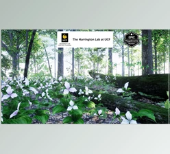 Download Unreal engine - 35 AR VR Northeastern US Plants and Ecosystems v5.3