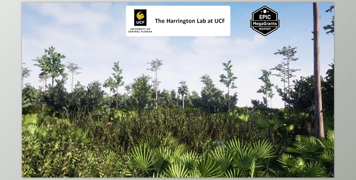 Download Unreal engine - Mesic Flatwoods Habitat  v5.3