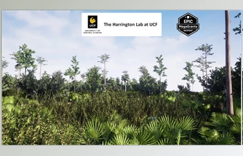 Download Unreal engine - <span class='badge badge-warning'>Mesic</span> Flatwoods Habitat  v5.3