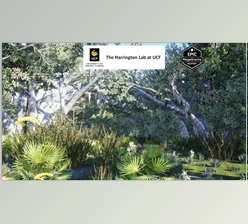 Download Unreal engine - Xeric Hammock Habitat Brush v5.3
