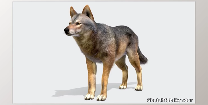 Download Unreal engine - Wolf – Male v5.3