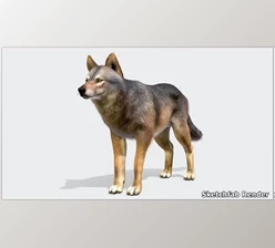Download Unreal engine - Wolf – Male v5.3