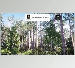 Download Unreal engine - Dome Swamp Habitat Brush v5.3