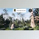 Download Unreal engine - Depression Marsh Habitat Brush v5.3